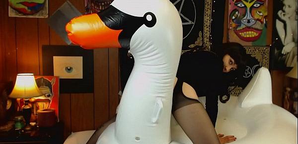  AdalynnX - Inflatable Swan Fun 1